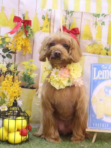 20240411紋之助くん